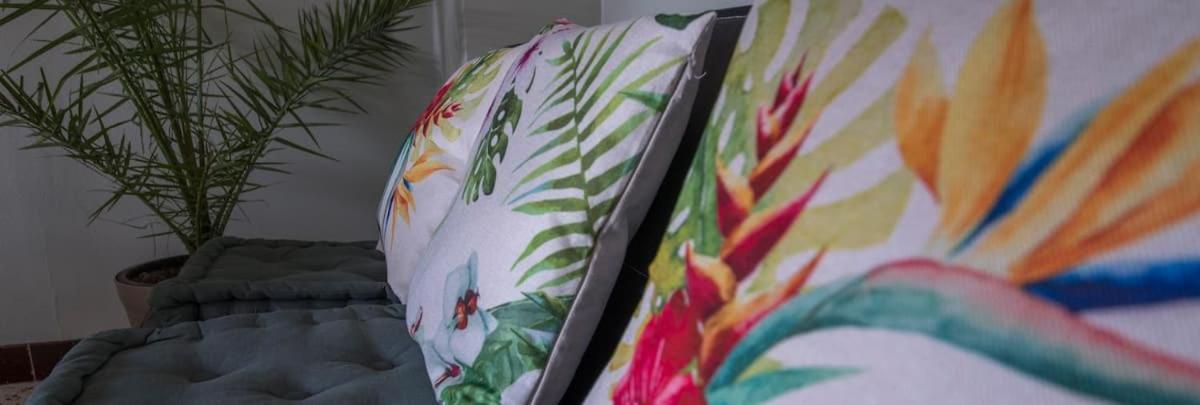 La Cahute, Appartement T2 Avec Jardin Ou Appartement Familial T6 Montauban Esterno foto